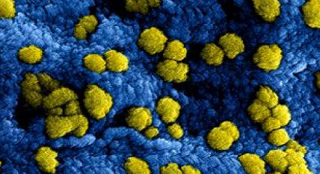 Update sluiting i.v.m. coronavirus