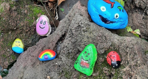 Happy Stones bij VTV