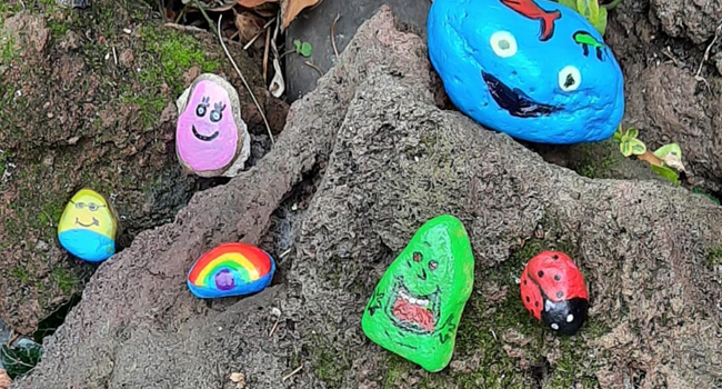Happy Stones bij VTV