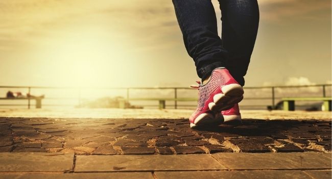 Wandelclub Pijnacker-Nootdorp