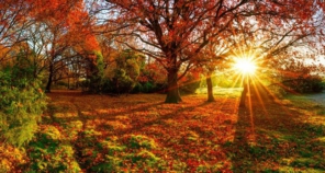 Nieuwsbrief herfst!